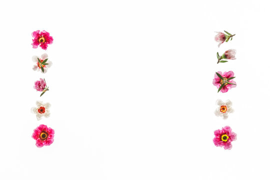 pink and white New Zealand teatree flowers arranged as picture frame