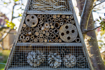 insect hotel a home for wild bees and other insects