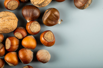 Nuts ,walnuts and chestnuts on blue background