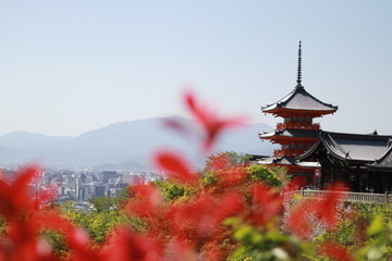 Naklejka premium Japanese temple in the mountains