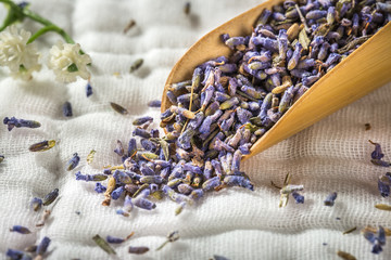 Obraz na płótnie Canvas lavender