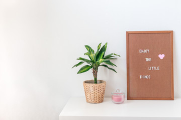 Scandinavian style home interior with white shelves, green palm in  pot, candle, and pegboard with the inspiring phrase, minimalistic concept, horizontal, copy space