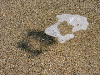 sea