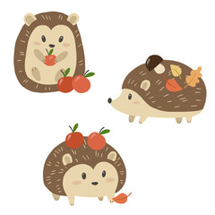 Set of cute hedgehogs with apples. Vector illustration. © Aleksandra