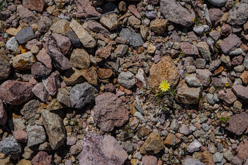 Colored Rocks in the California Desert