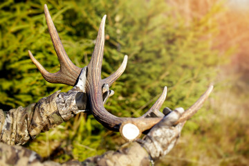 Fototapeta premium Hunter man in forest with antler in his hand. Sun is in the background. Winter landscape.