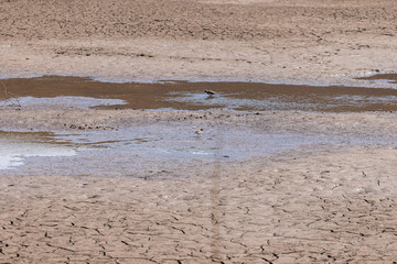 Climate change. Drying of reservoirs. Water shortage