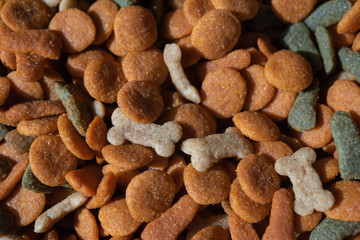 Dry dog food textured background.