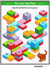 Visual puzzle with cat and building blocks: Help the cat find the very top place. Answer included.
