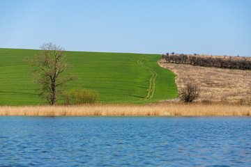  Picturesque landscape. Lake and green hill