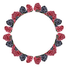 illustration watercolor frame with berries round on a white background