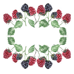 Watercolor illustration of raspberries and blackberries frame
