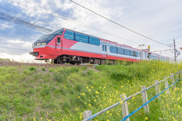 Obraz premium 菜の花鉄道