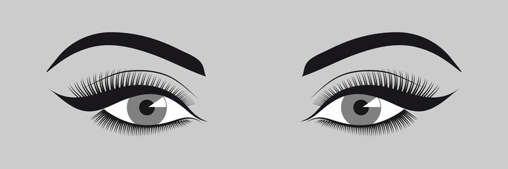 illustration vectorielle - gros plan sur des yeux de femme avec de l’eye-liner.