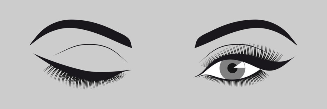 illustration vectorielle d&rsquo;un clin d&rsquo;&oelig;il - gros plan sur des yeux de femme avec de l&rsquo;eye-liner.