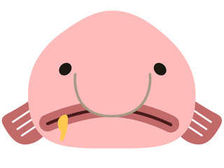 魚_深海生物_ニュウドウカジカ