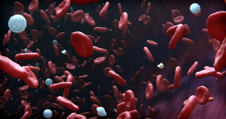 3d illustration of blood composition. White and red blood bodies, macrophages.
 - obrazy, fototapety, plakaty