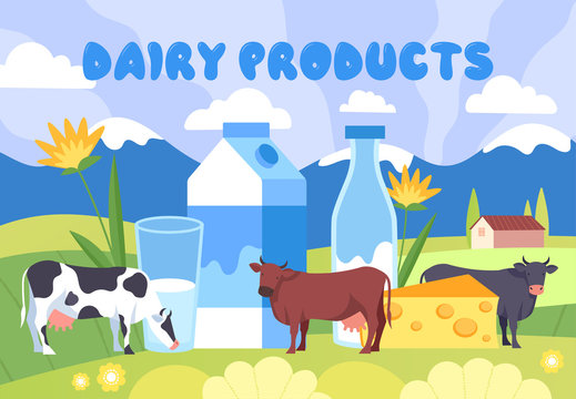 Colorful poster design for dairy products with assorted cows in a lush green spring pasture with a glass, bottle and carton of milk, vector illustration