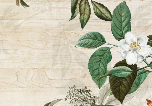 Vintage botanical frame design illustration © Rawpixel.com