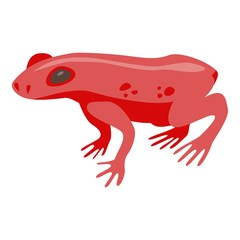 Red tropical frog icon. Isometric of red tropical frog vector icon for web design isolated on white background