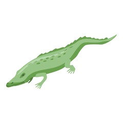 Crocodile icon. Isometric of crocodile vector icon for web design isolated on white background