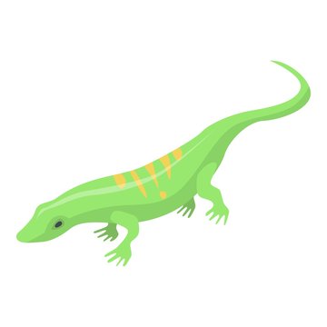 Striped green lizard icon. Isometric of striped green lizard vector icon for web design isolated on white background