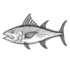 Illustration of tuna fish in engraving style. Design element for logo, label, sign, poster, t shirt. Vector illustration