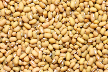 Dry brown mung beans background or texture