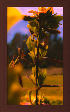 Very, very brilliant flower.