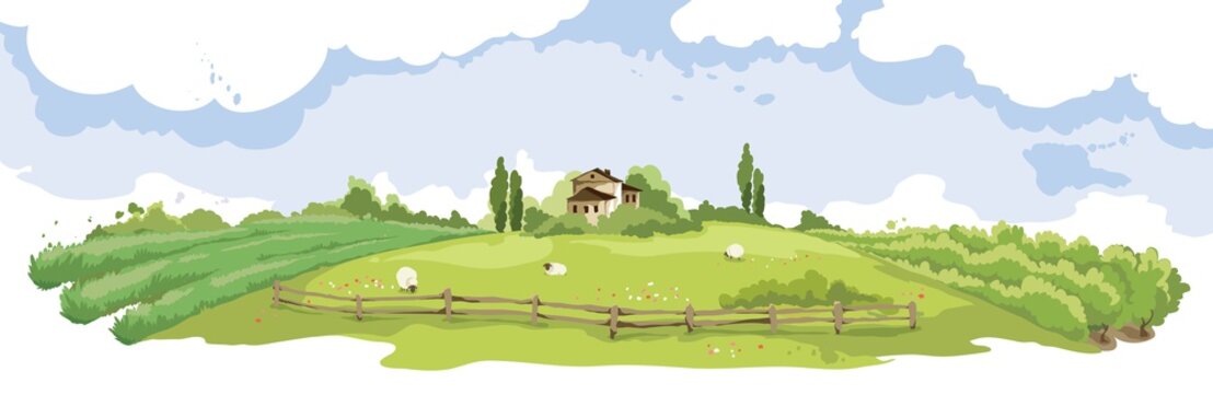 Abstract summer landscape -- field with sheeps and vineyard / Vector illustration, rural view -- fields and meadows