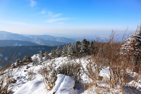 Winter in mountains/ Litovka Mount, Primorsky krai, Russia