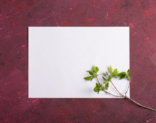 Spring minimalistic concept. mockupA close up of a piece of paper. Card. White paper on a red background. Top view. flat lay. 