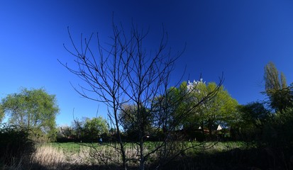 Spring impressions from a park in Berlin Spandau from April 19, 2020, Germany