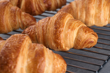 Metallic rack with fresh baked croissants on a gray background.
