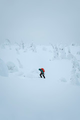 Woman trekking through a snow covered Lapland, Finland