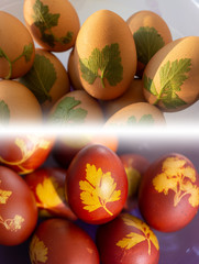 The process of making Easter eggs decorated with natural fresh leaves and boiled in onions peels. Before and after boiling.