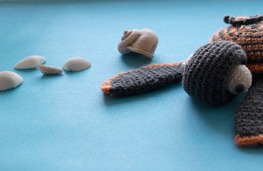 sea shells on a blue background
