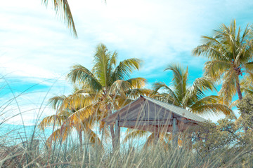 Naklejka na ściany i meble Key West- La cabane 2