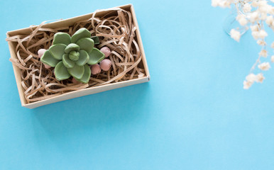 decorative flower and white flowers on a blue background
