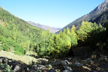 mountain landscape in autumn