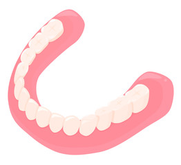 総入れ歯のイラスト_下