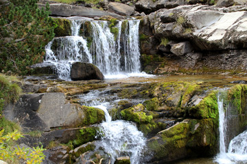 waterfall in the forest
