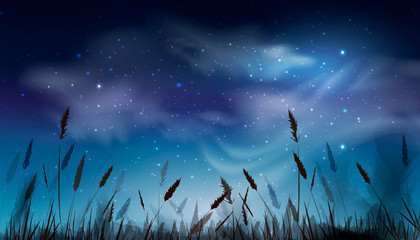 Blue dark night sky with a series of glittering stars, natural background clouds over a field of grass