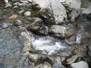 river behind a waterfall in the Altai forest