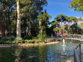 Beautiful and green garden 