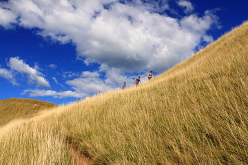 People walking up grassy hill