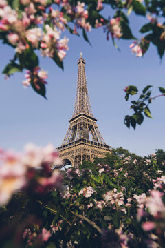 Famous Paris landmark