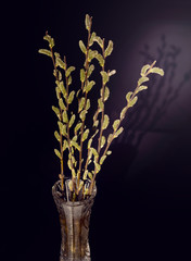 bouquet of yellow flowers