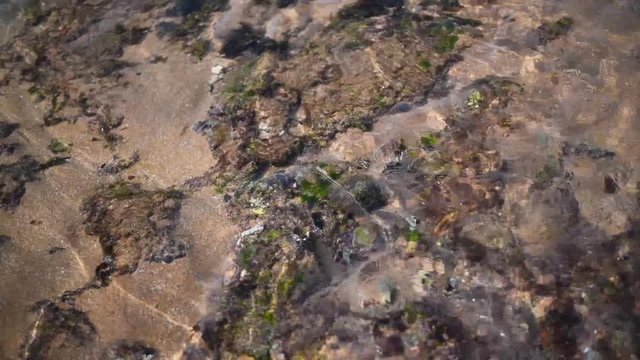 Ocean water flows aground near the shore along a sandy bottom with rocks and a coral reef