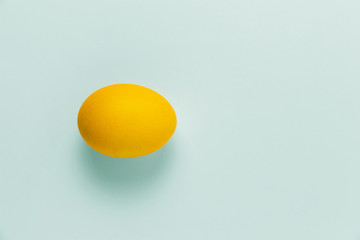 yellow chicken egg